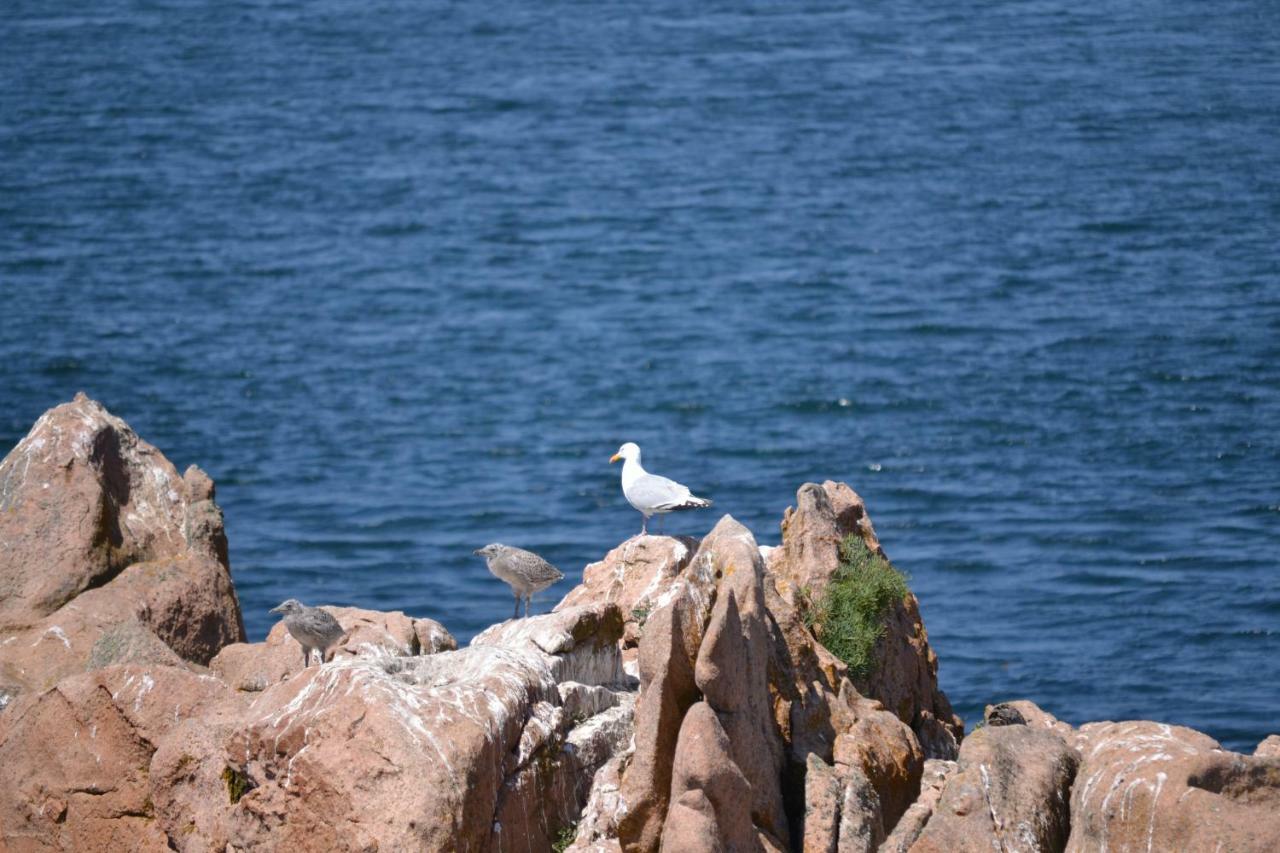 Gite De La Marina Dans La Presqu'Ile De Lézardrieux Dış mekan fotoğraf